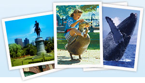 Find family-friendly things to do in Boston with the Go Boston Card or Boston Go Select