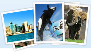 Find family-friendly things to do in San Diego with the Go San Diego Card or San Diego Go Select